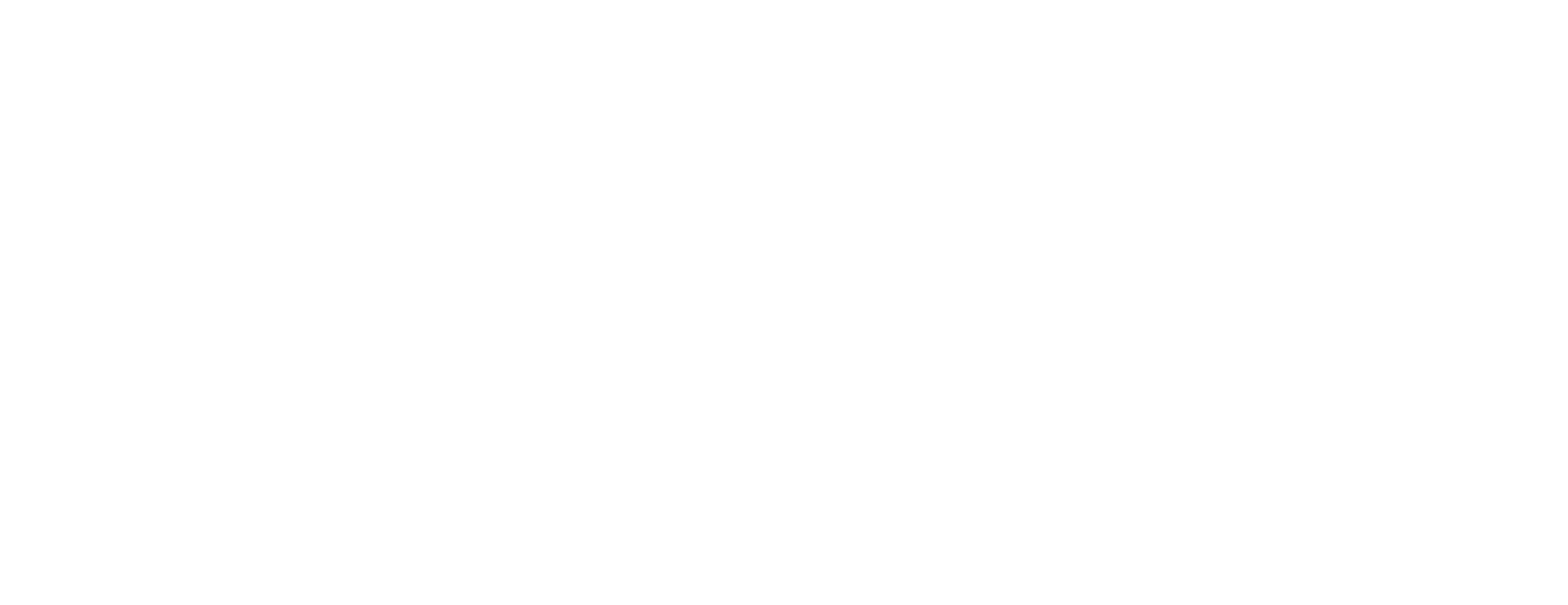 WellD Sagl Logo